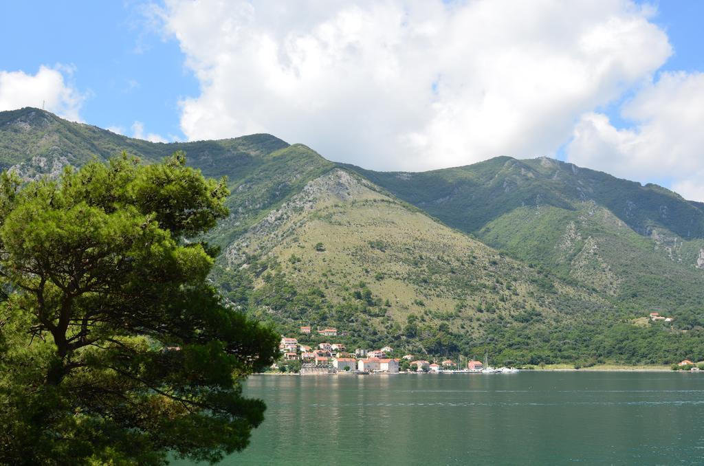 Apartment Ivanisevic 2 Kotor Exterior foto